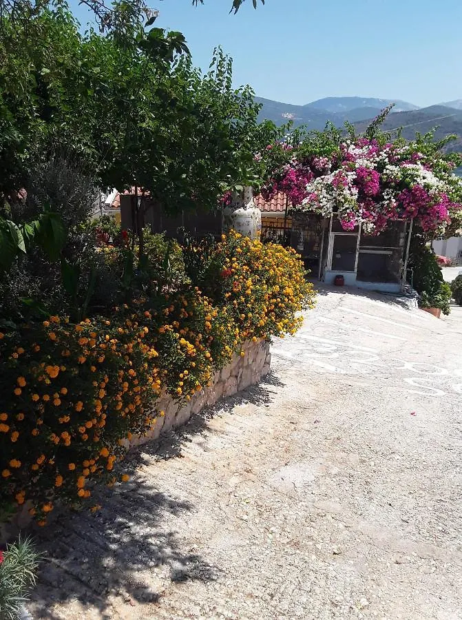 Appartamento Elenh House Argostoli   Argostoli (Kefalonia)