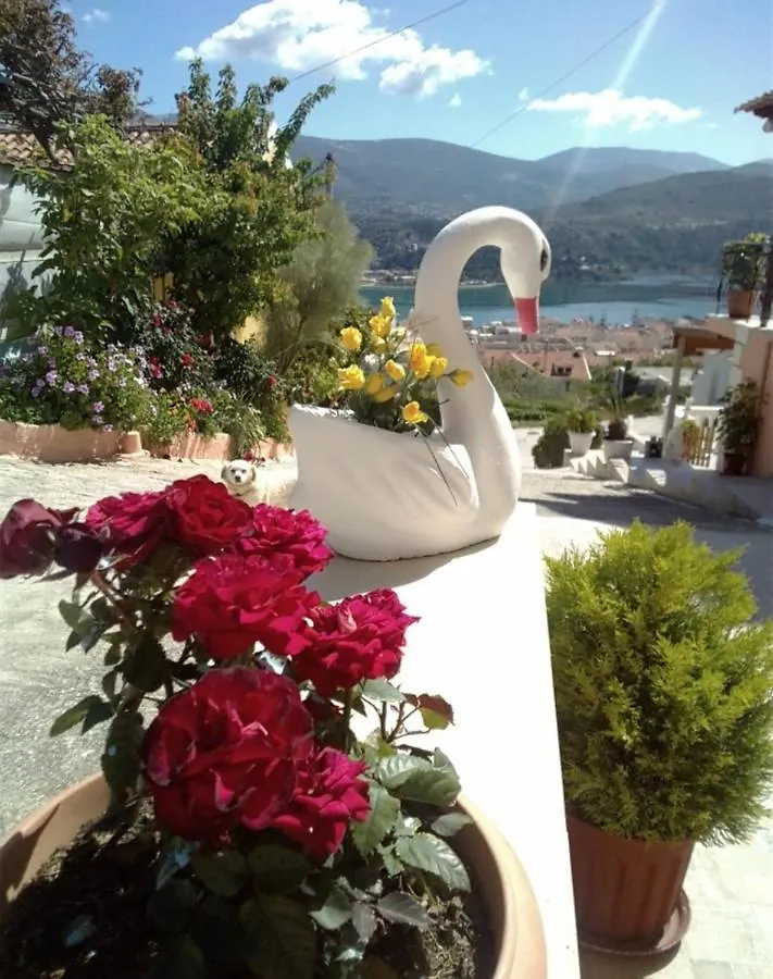 Appartamento Elenh House Argostoli  Grecia