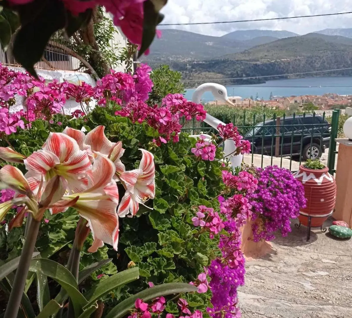 Appartamento Elenh House Argostoli  0*, Argostoli (Kefalonia)