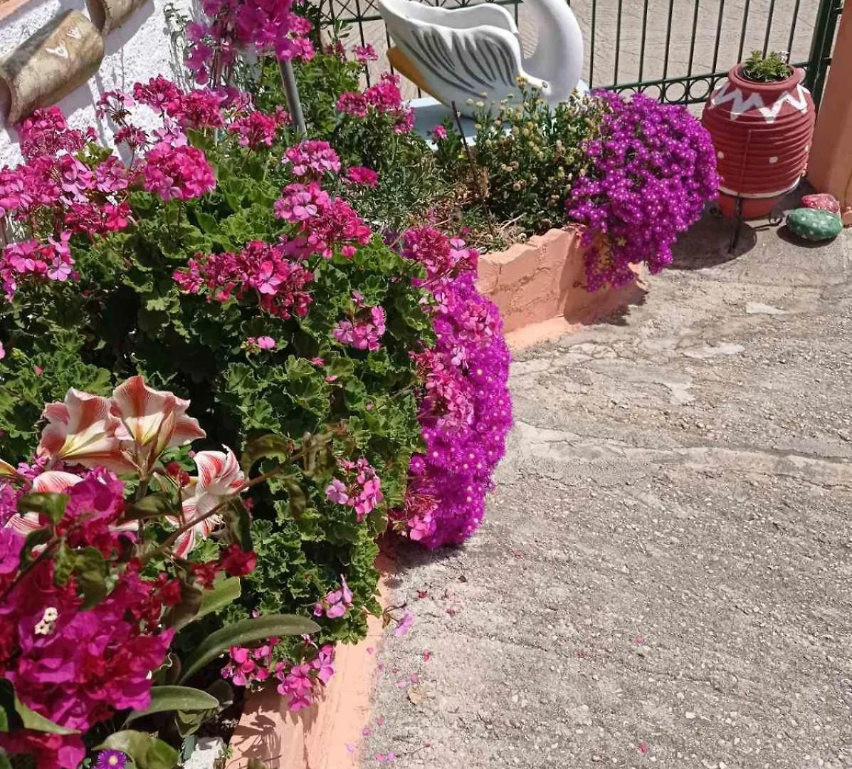 Appartamento Elenh House Argostoli   Argostoli (Kefalonia)